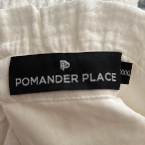 Pomander place tuckernucker white Gauze a line swing Morgan Dress xxxl 3XL NWOT - Picture 7 of 7